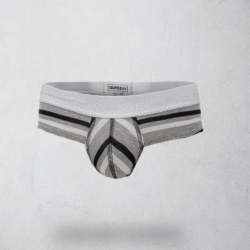 STRIPER OLDE BRIEF