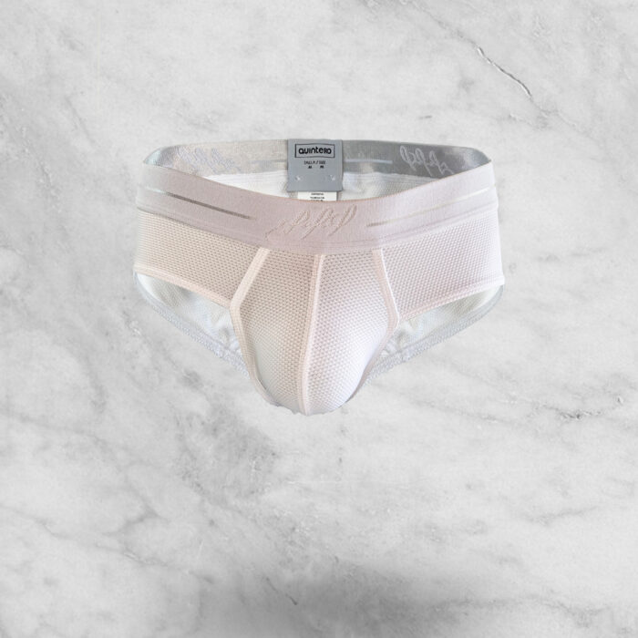 WHITE RENEW BRIEF
